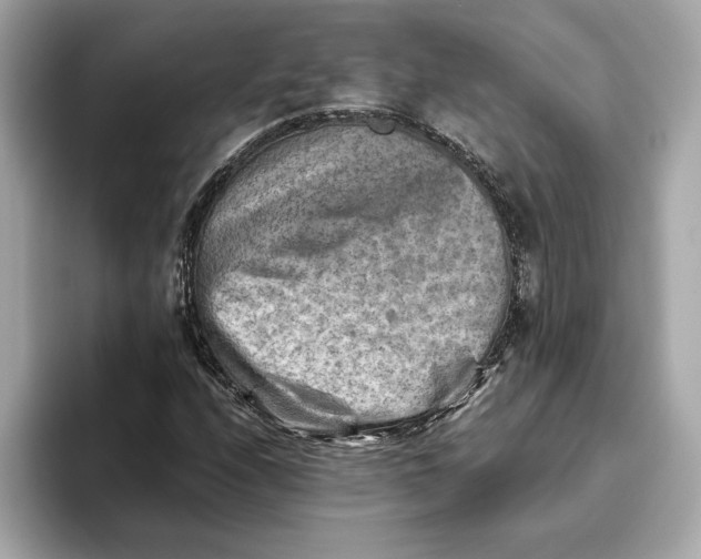 X0000093511208200711021022