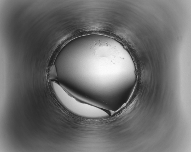 X0000093511210200711021022