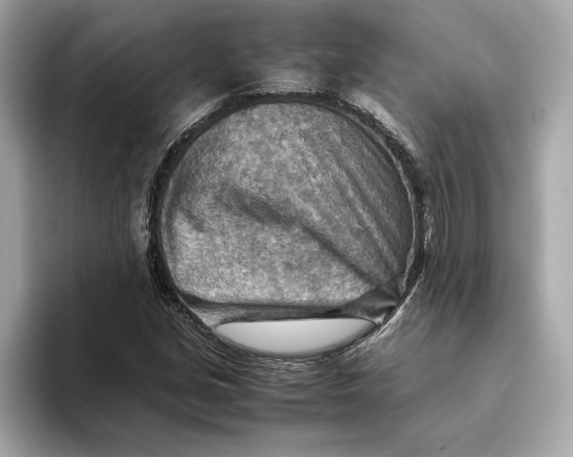 X0000093511213200711021022