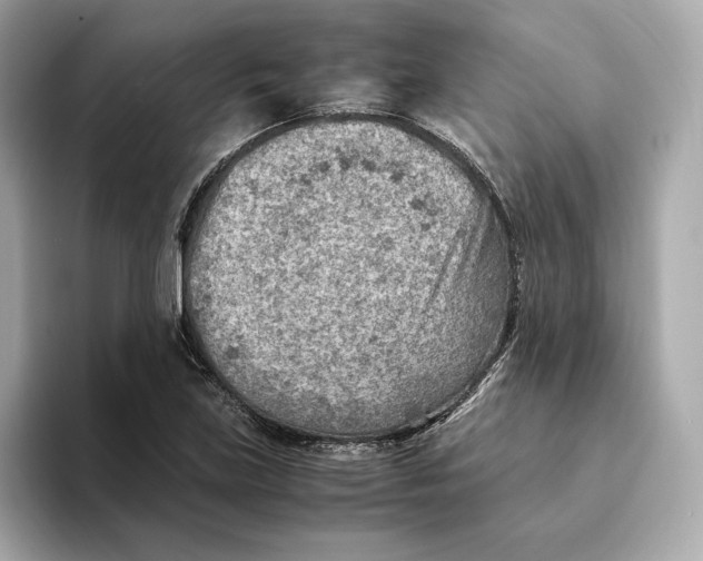 X0000093511219200711021022