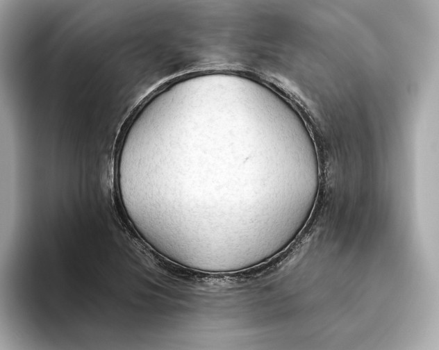 X0000093511220200711021022