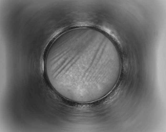 X0000093511221200711021022