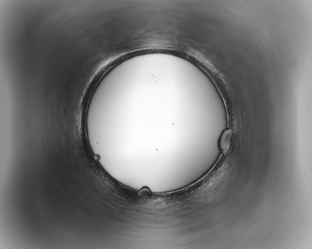 X0000093511222200711021022