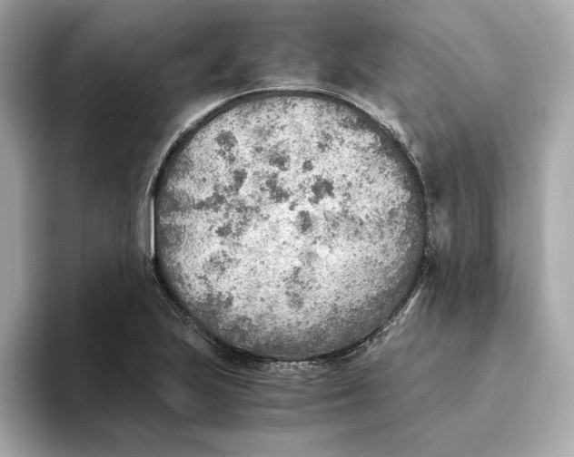 X0000093511223200711021022