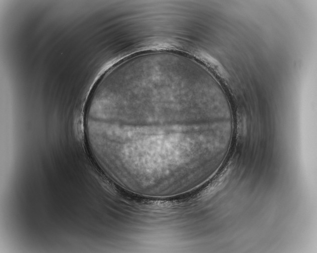 X0000093511226200711021022