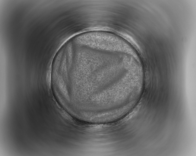 X0000093511228200711021022