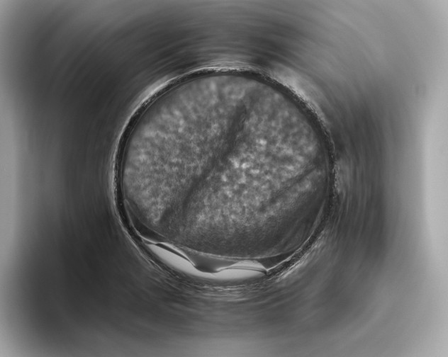 X0000093511229200711021022