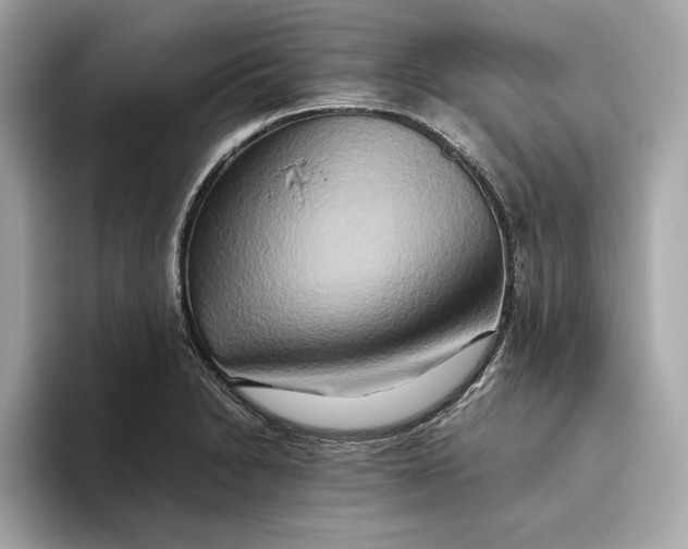 X0000093511230200711021022