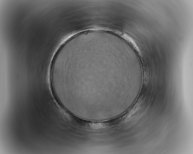 X0000093511231200711021022