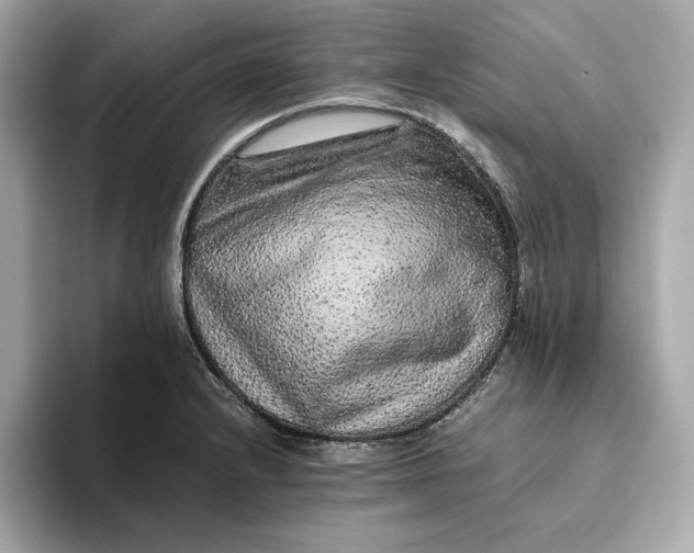 X0000093511232200711021022