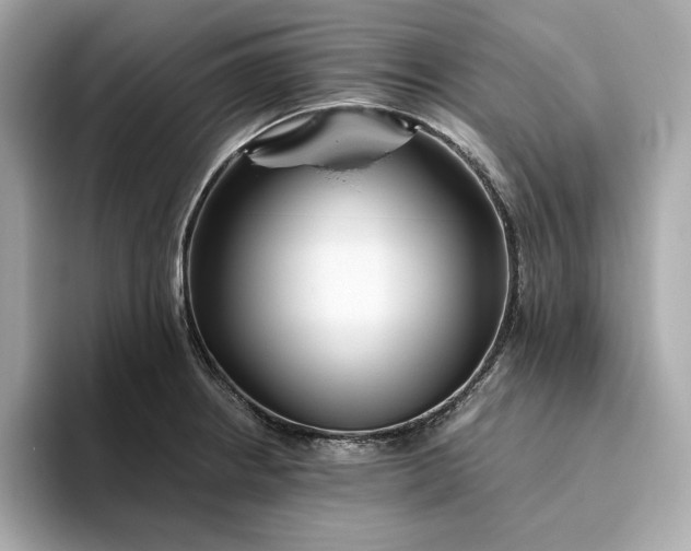 X0000093511234200711021022