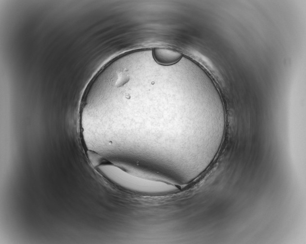 X0000093511236200711021022