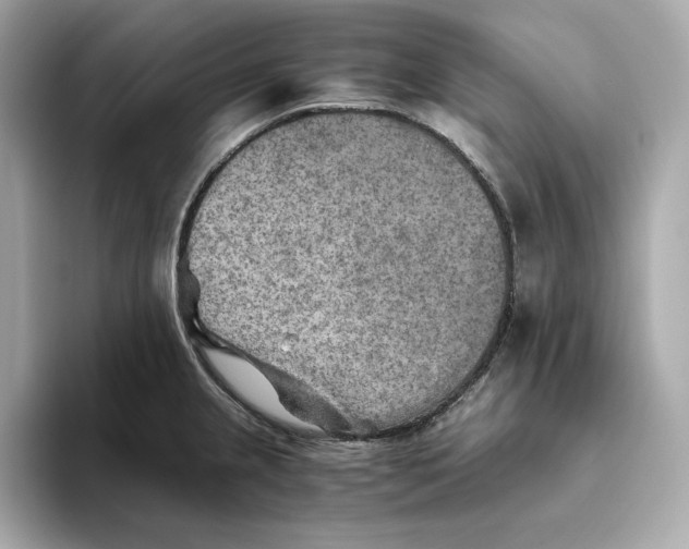 X0000093511237200711021022