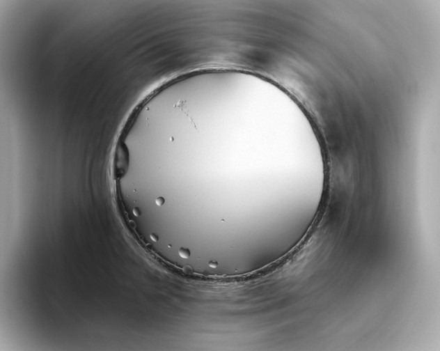 X0000093511238200711021022