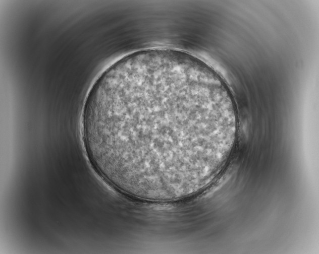 X0000093511239200711021022