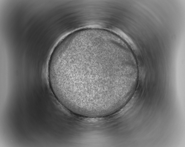 X0000093511240200711021022