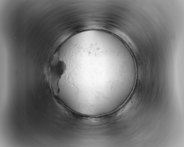 X0000093511241200711021022