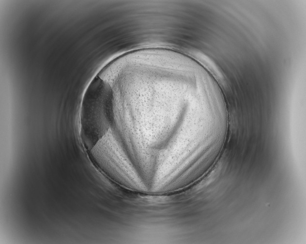 X0000093511244200711021022