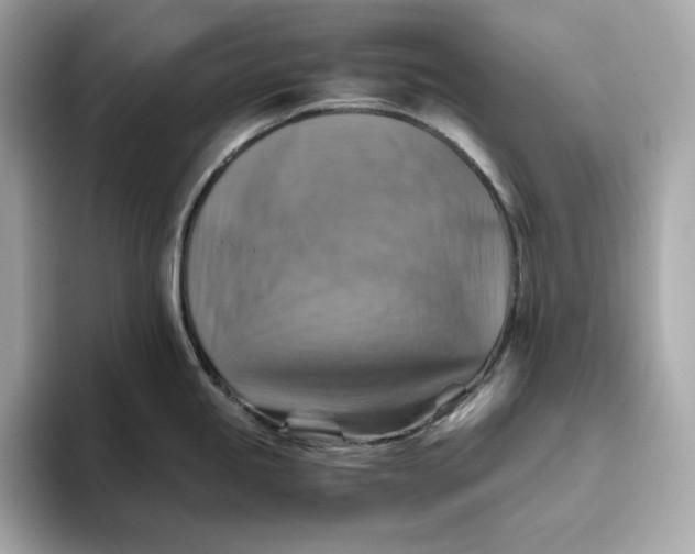 X0000093511245200711021022