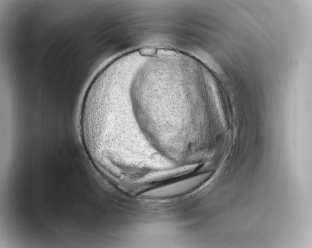 X0000093511248200711021022