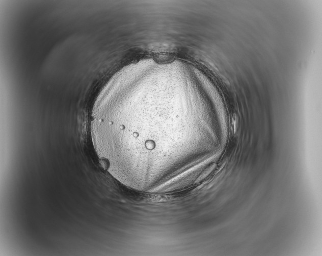 X0000093511251200711021021