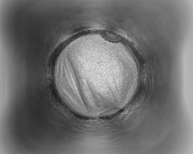 X0000093511255200711021021