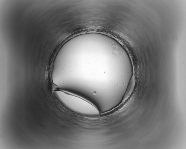 X0000093511257200711021021