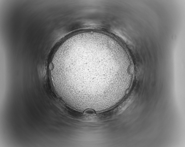 X0000093511259200711021021