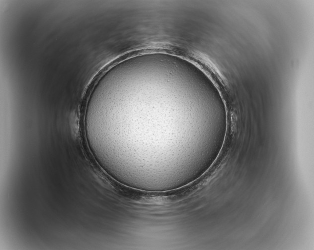 X0000093511260200711021021