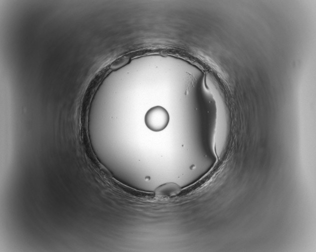 X0000093511261200711021021