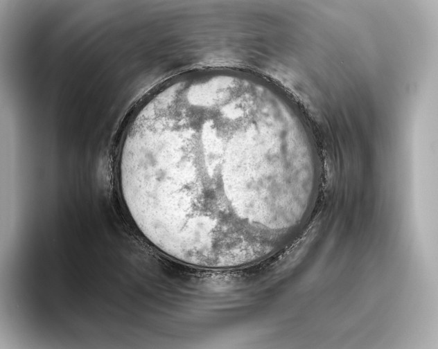 X0000093511266200711021021