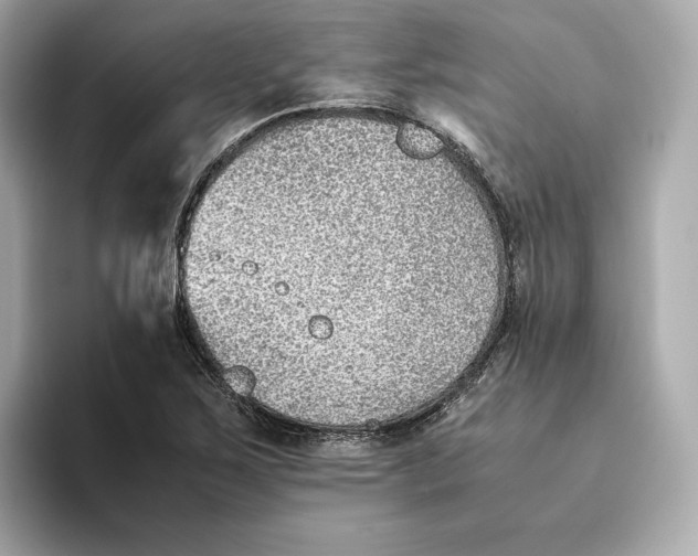 X0000093511267200711021021