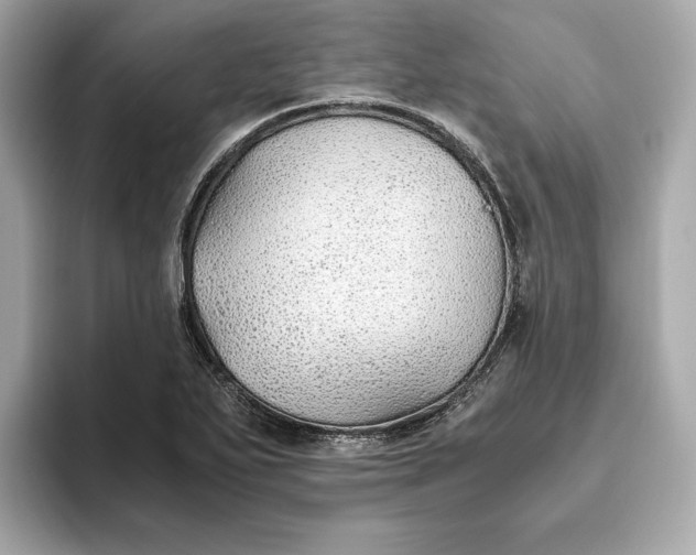 X0000093511271200711021021