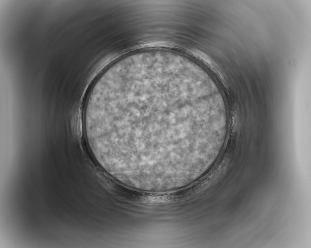 X0000093511274200711021021