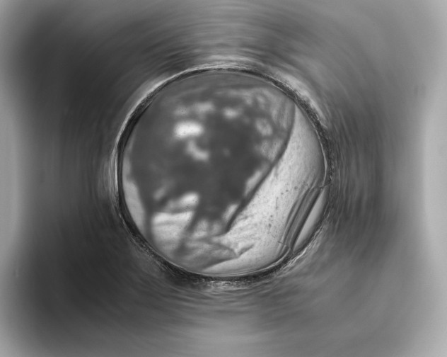 X0000093511275200711021021