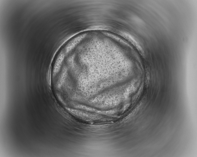 X0000093511276200711021021