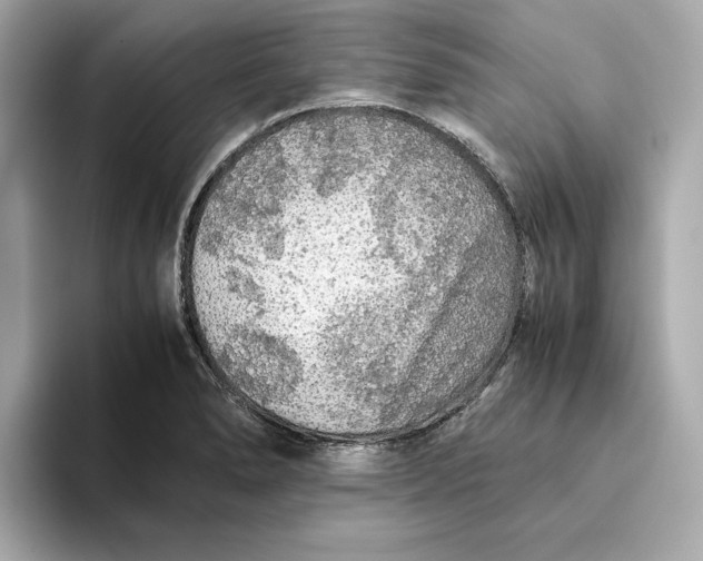 X0000093511278200711021021