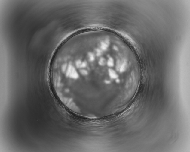 X0000093511279200711021021