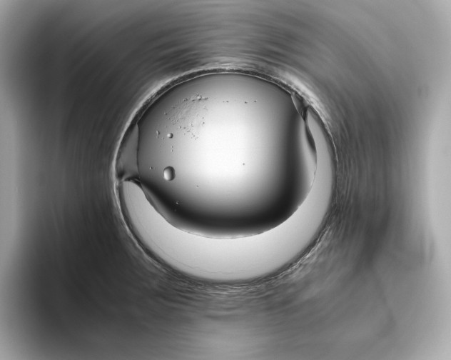 X0000093511283200711021021