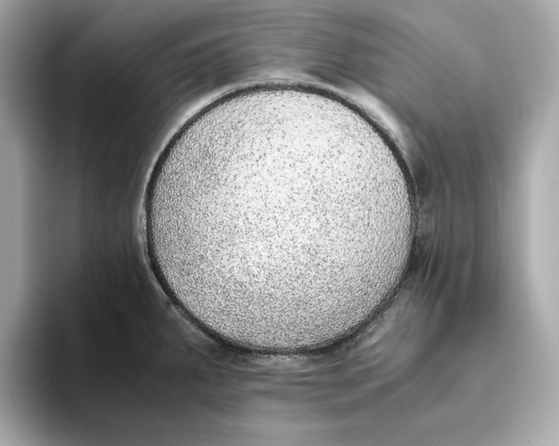 X0000093511287200711021021