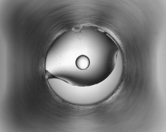 X0000093511289200711021021