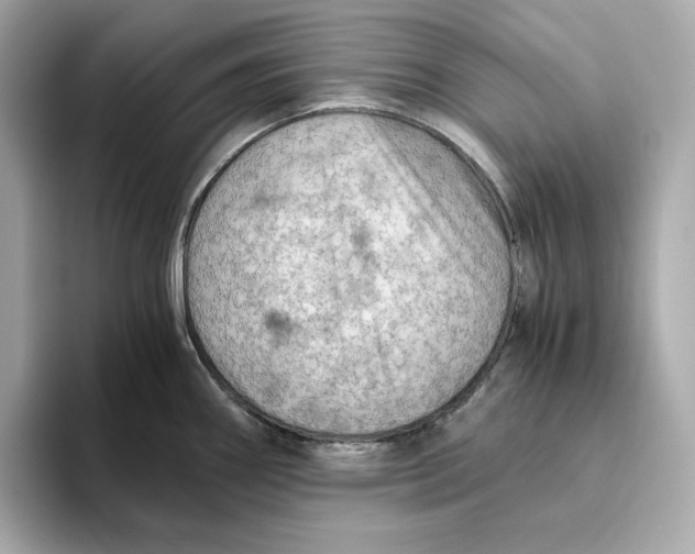 X0000093511290200711021021