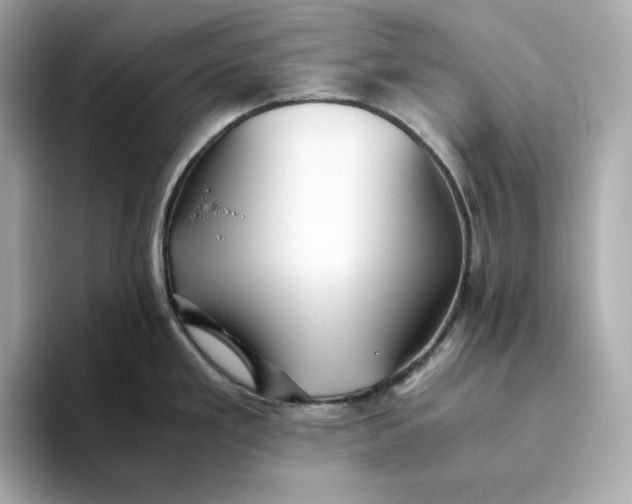 X0000093511293200711021021