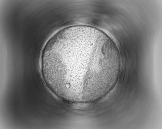 X0000093511294200711021021