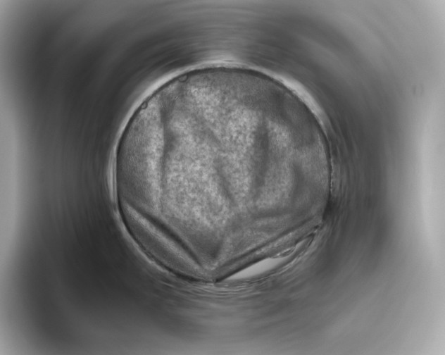 X0000093511295200711021021