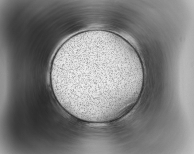 X0000093511296200711021021