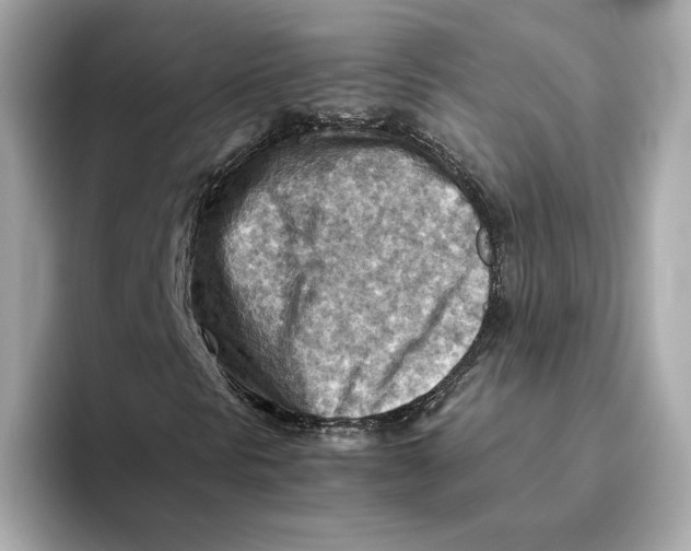 X0000093511297200711021020