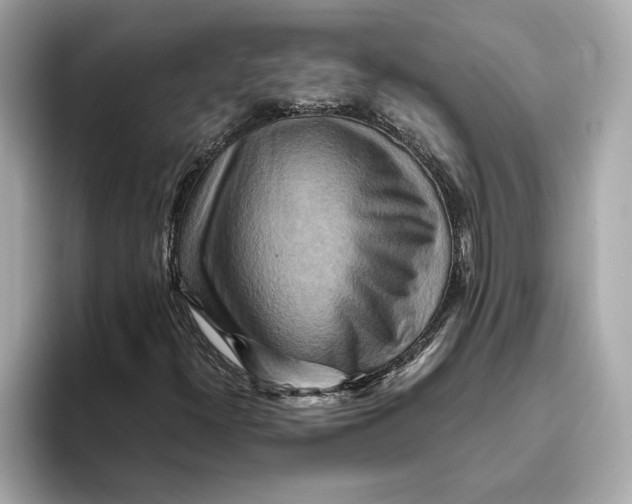 X0000093511300200711021020