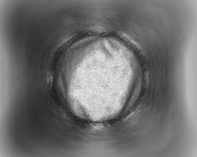 X0000093511302200711021020