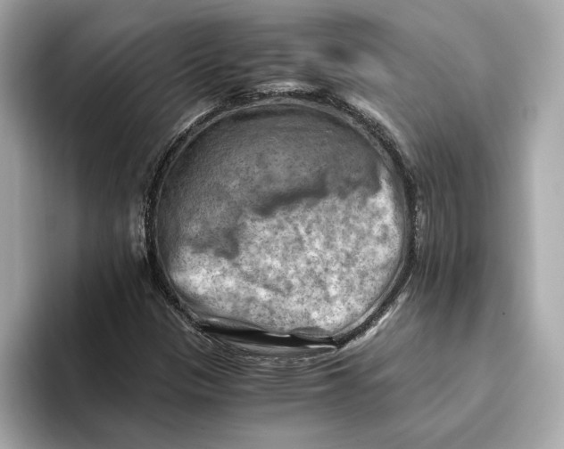 X0000093511305200711021020